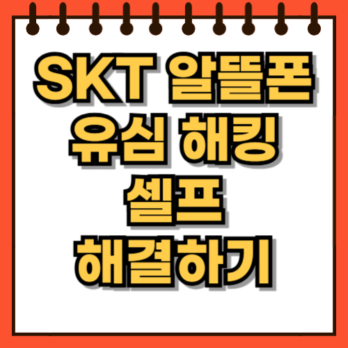 SKT 알뜰폰 유심 해킹 해결하기