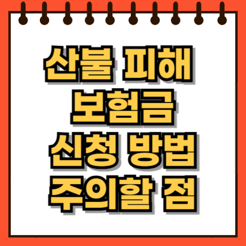 산불 피해 보험금 신청 자격 주의할점